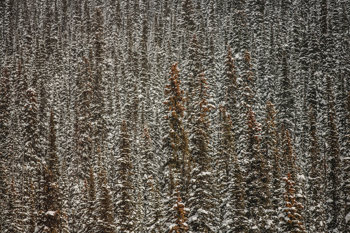 crescent spur, heli skiing, skiing, arcteryx, mountains, snowbaording, avalanche, ©Gabe McClintock Photography | www.www.gabemcclintock.com